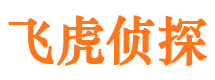 长江新区市侦探调查公司